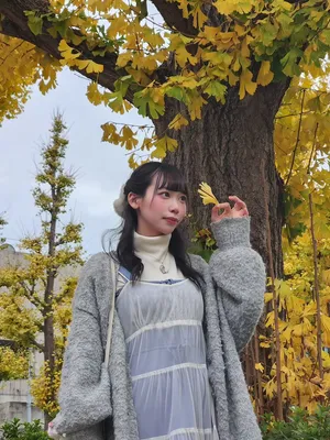 秋の柚月